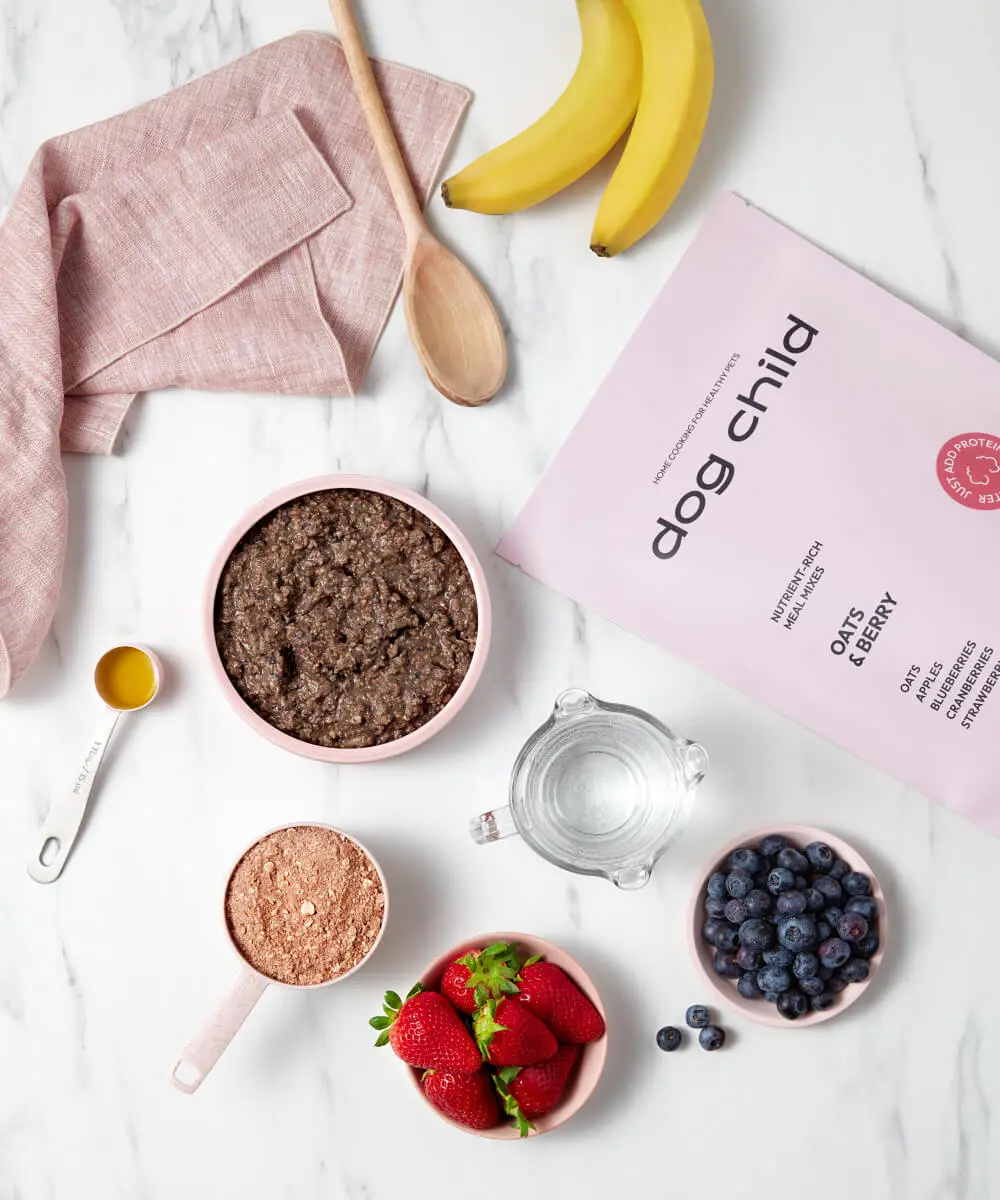 Oats & Berries Meal Mix For Dogs - Image 4